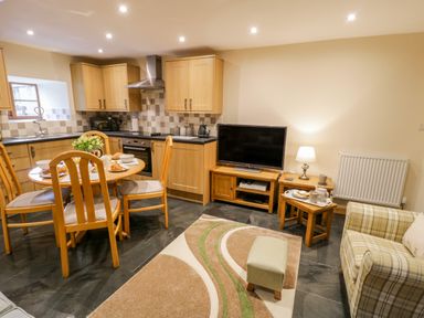 An open plan kitchen and living area with a dining table set a television and a plaid armchair at Yr Hen Stabal in Trawsfynydd