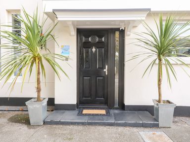 A black front door with a doormat and two potted plants on either side at Babbacombe Hall in Babbacombe