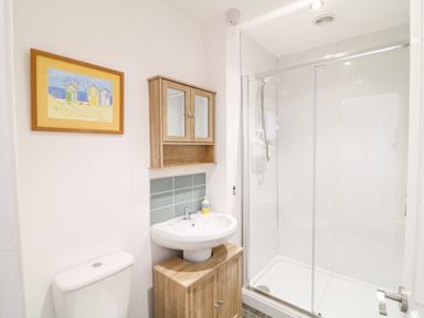 A bathroom with a toilet sink with cabinet and wall mirror and a glass-enclosed shower at Babbacombe Hall in Babbacombe