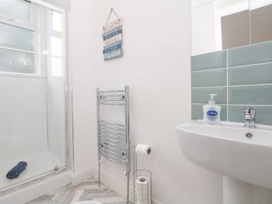 A bathroom with a shower, towel rack, toilet paper holder, and a sink with hand wash at Babbacombe Hall in Babbacombe