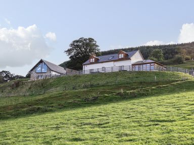 A farmhouse and barn on a grassy hillside with trees and a forest in the background at Tyn Llwyn Barn in Glyndyfrdwy near Llangollen