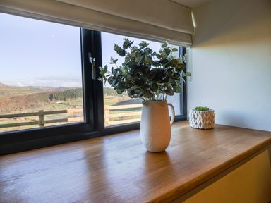 A windowsill with a white vase of plants and a small plant in a knitted pot cover at Tyn Llwyn Barn in Glyndyfrdwy near Llangollen