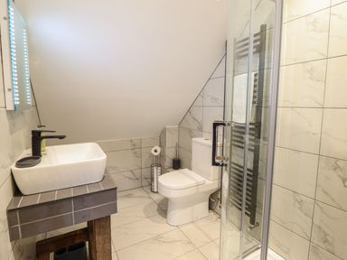 A bathroom with a sink toilet and shower at Tyn Llwyn Barn in Glyndyfrdwy near Llangollen