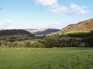 A green field with sheep grazing and hills in the background at Tyn Llwyn Barn in Glyndyfrdwy near Llangollen