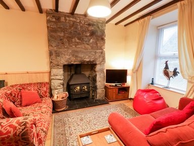 A living room with red sofas red bean bag a stone fireplace and a television at Edrydd in Harlech