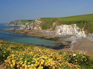 A coastal landscape with rocky cliffs green grass and yellow flowers by the water at Duffield in St Ann's Chapel