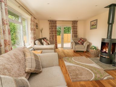 A living room with sofas a wood burning stove and a rug at New Peny in Llandrindod Wells