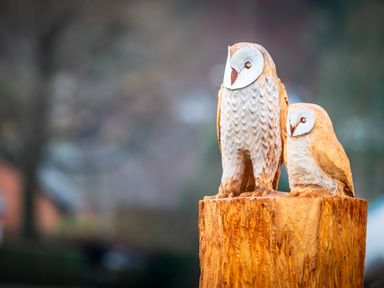 A wooden sculpture of two owls on a wooden pedestal outdoors at New Peny in Llandrindod Wells