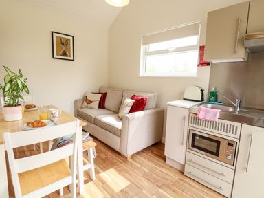 A kitchen and dining area with a sofa a wooden dining table with chairs and a small kitchen unit with a microwave and sink at Bramble in Banham