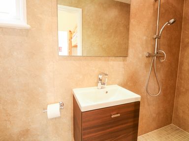 A bathroom with a washbasin cabinet mirror showerhead and toilet paper holder at Bramble in Banham