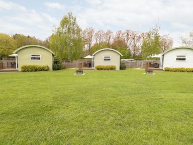 Three small cabins with curved roofs and wooden decks on a grassy lawn with trees and a wooden fence behind at Bramble in Banham
