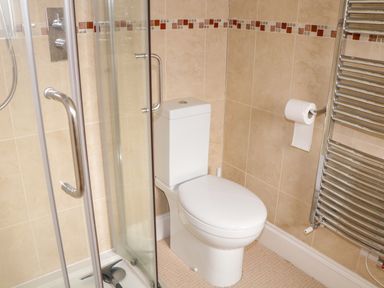 A bathroom with a shower enclosure a toilet a towel radiator and a toilet paper holder at 1 Orchard Cottages Salcombe