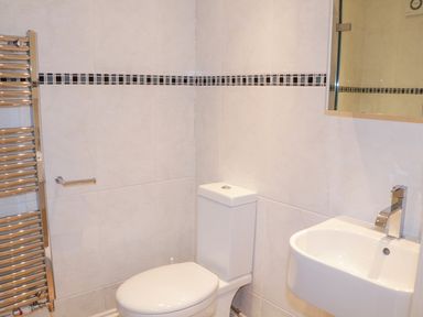 A bathroom with a toilet, a sink with a faucet, a mirror, a heated towel rail, and tiled walls at 1 Orchard Cottages in Salcombe