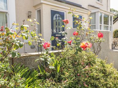 A front garden with rose bushes and greenery in front of a house with a blue door at 1 Orchard Cottages in Salcombe