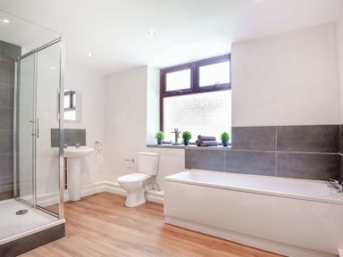 A bathroom with a shower, sink, toilet, bathtub, window, and three small plants at Stiniog Lodge in Blaenau Ffestiniog