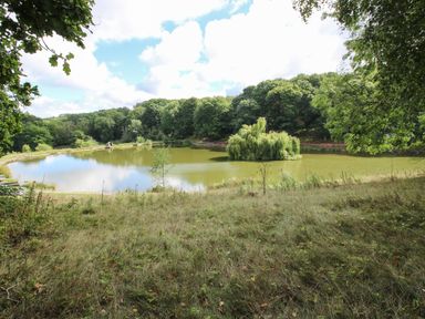 An outdoor scene with a pond surrounded by grass and trees with a small island in the pond at Shatterford Lakes in Shatterford