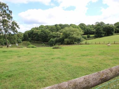 A grassy field with a wooden fence two animals a pond and trees in the background at Shatterford Lakes in Shatterford