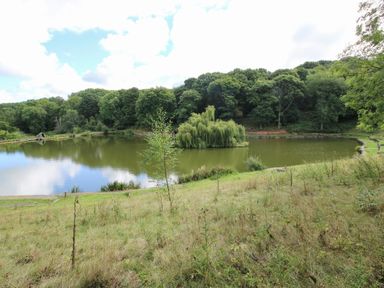 A lake with a small island and trees around it at Shatterford Lakes in Shatterford
