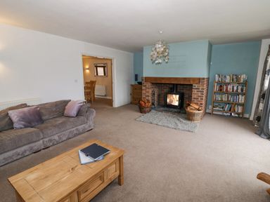 A living room with a sofa coffee table fireplace and bookshelf at Shatterford Lakes in Shatterford