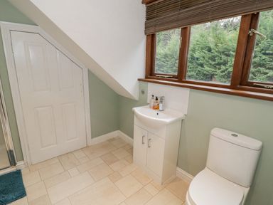 A bathroom with a toilet a sink under a window and a door under a sloped ceiling at Shatterford Lakes in Shatterford