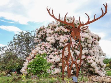 A metal deer sculpture in front of a flowering bush at Erin Cottage Pelynt near Looe