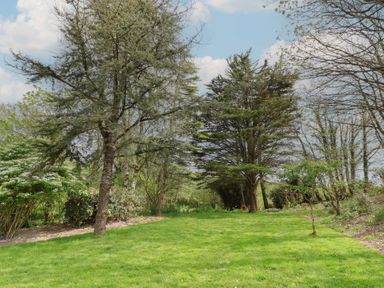 A garden with trees and grass at Erin Cottage in Pelynt near Looe