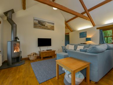 A living room with a wood stove a blue sofa a wooden table and a television at Hook Cottage in Pelynt near Looe