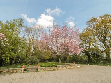 A garden area with a gravel path a stone wall a bench and a pink flowering tree surrounded by other trees at Wren Cottage in Morpeth