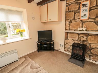 A corner of a room with a window with flowers on the sill a wall-mounted cabinet a television on a stand a small electric stove heater on a stone wall with decorative items on a shelf at Heron Cottage Morpeth