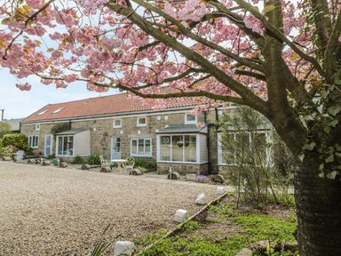 A stone house with a tiled roof behind a gravel driveway and a tree with pink blossoms in front at Heron Cottage in Morpeth
