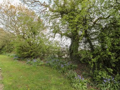 A garden with grass and flowering plants next to a line of trees and bushes at Magpie Cottage in Morpeth
