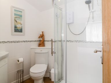 A bathroom with a toilet shower and a wooden sculpture on the shelf at Owl Barn in Tavistock
