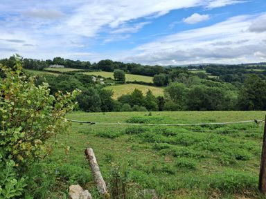 A view of fields and trees at Owl Barn Tavistock