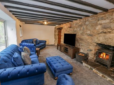 A living room with blue sofas a wooden tv stand and a wood burning stove at Cae Lleci in Llanfachreth near Dolgellau