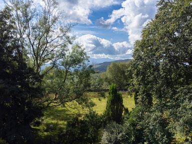 A grassy field with trees and a sheep under a partly cloudy sky at Cae Lleci in Llanfachreth near Dolgellau