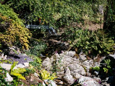 A rocky stream with green ferns and trees and a small metal bridge over the water at Cae Lleci in Llanfachreth near Dolgellau