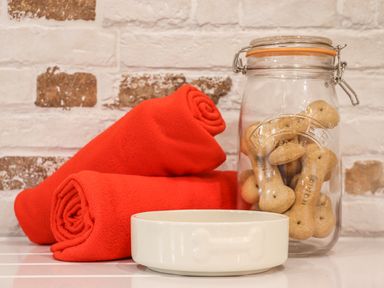 A countertop with two red rolled towels a white dog bowl and a glass jar filled with bone-shaped dog biscuits