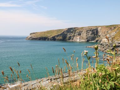 A coastal scene with rocky cliffs and water with plants in the foreground at Beach Hut in Trebarwith Strand