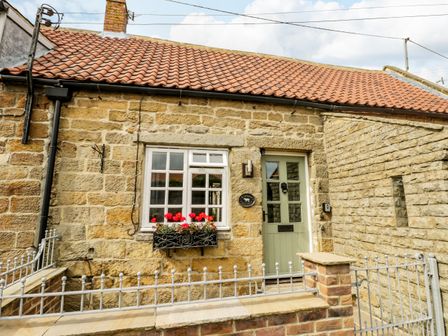 Stone cottage exterior with tiled roof green door window flowers and metal fence at Raygill Cottage in Sneaton