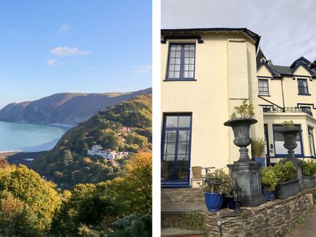 A coastal hillside with houses surrounded by trees and a large house with blue window frames and potted plants at Bayview Terrace in Lynton