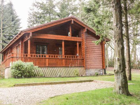 A wooden cabin with a porch surrounded by trees and grass at Chloes Lodge in Middleton Ryedale