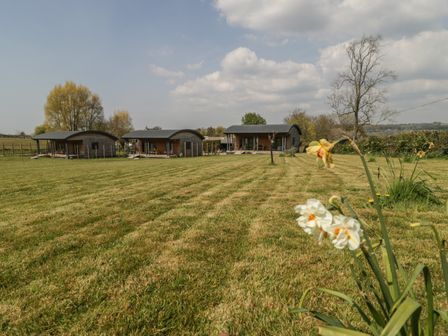 A large grassy field with three wooden cabins and trees in the background at Bluebell in Sticklinch West Pennard Glastonbury