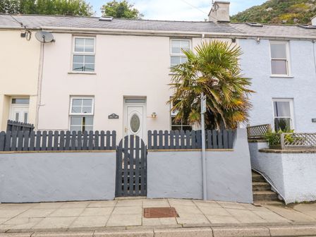 A row of terraced houses with front gates and a palm tree at Awel Y Mor in Pwllheli