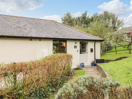 Exterior view of a single story cottage with a tiled roof a white door and window surrounded by hedges and grass at Hazel Cottage in Poughill near Bude