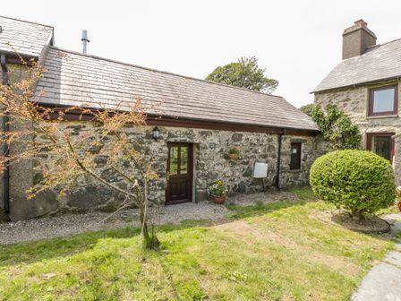 A stone cottage with a wooden door a small tree and a trimmed bush in the yard at Melin Bach in Porthmadog
