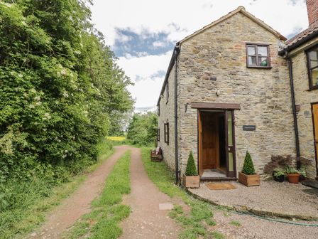 An exterior stone cottage with wooden door and plants next to a gravel path and a dirt road with trees at Cottage on the Common in Westbury-on-Severn