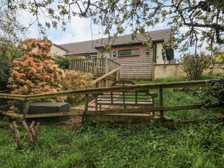 A garden area with plants a wooden bench and a wooden deck outside a house at Woodstock Retreat in Birchill near Chardstock