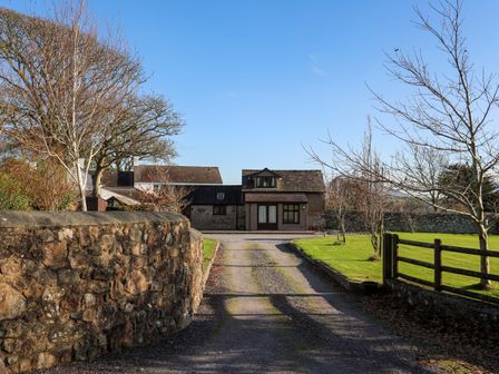 A driveway leading to a house with trees and stone walls on both sides at Barras Cottage in Brynsiencyn