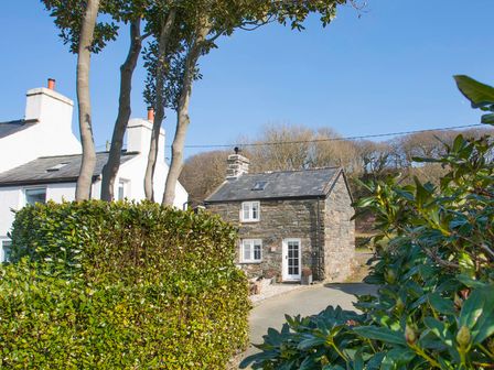 dog friendly cottages snowdonia national park