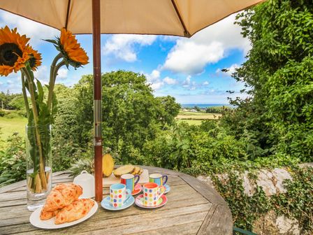 An outdoor wooden table with sunflowers in a vase cups and croissants under a large umbrella with trees and fields in the background at Maes y Cregyn in Marianglas